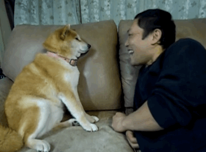 cuoi-rung-ron-voi-24-dieu-ky-quac-chi-co-o-nhat-ban